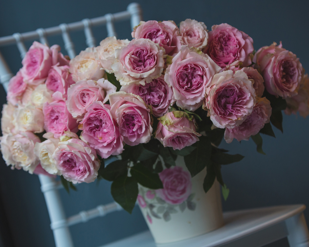 Rose Detail 1